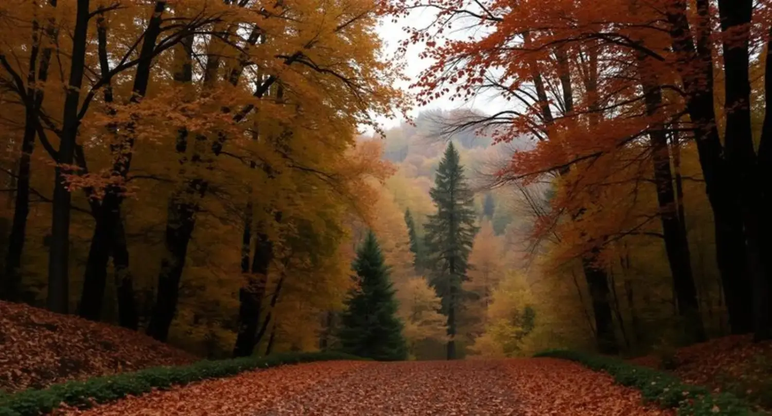 fall captions for pictures