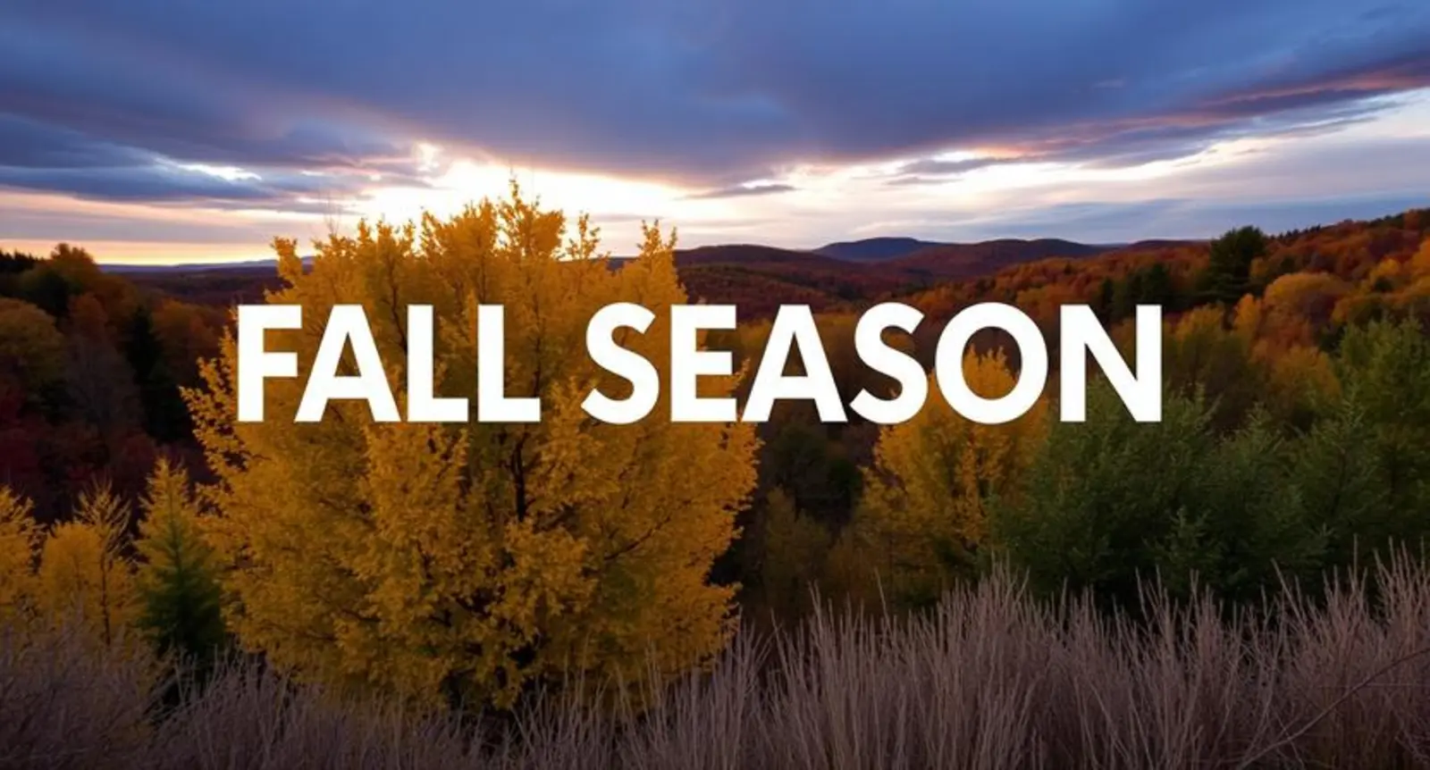 fall season captions