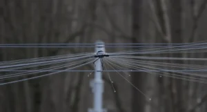 interference synonym