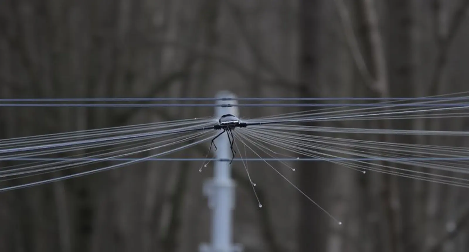 interference synonym
