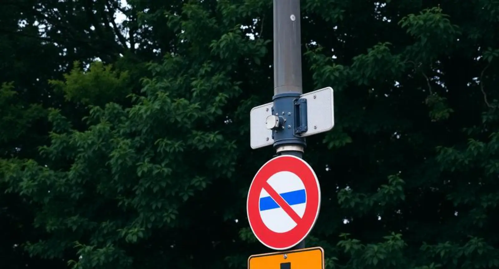 signal synonym