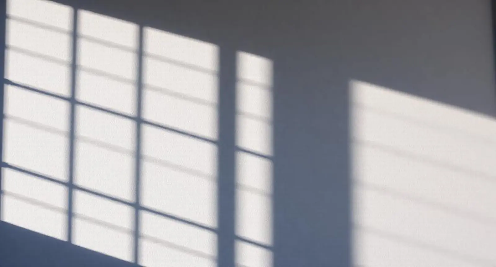 synonym shadowed
